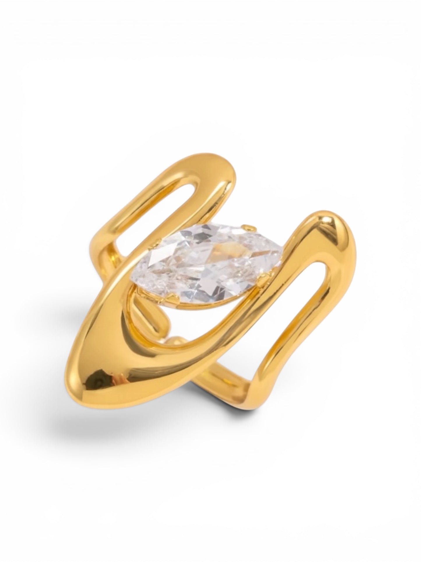Ring Evil